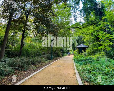 Paris, France, vues panoramiques, Parc urbain, sentier piétonnier dans la réserve naturelle du centre-ville, 'Promenade plantée', 75012 Banque D'Images