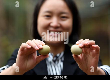 (181108) -- YUEXI, 8 novembre 2018 (Xinhua) -- Yu Chun, propriétaire de l'entreprise de commerce électronique Dr. Mother, montre les œufs dans une ferme de poulets dans le village de Tiantou du comté de Yuexi, province de l'Anhui dans l'est de la Chine, le 7 novembre 2018. Yu Chun, titulaire d'un doctorat de l'école de médecine de l'Université de Pékin, a quitté son emploi de fonctionnaire de Guangzhou, province du Guangdong, dans le sud de la Chine, en 2014, créer sa boutique en ligne pour promouvoir les produits locaux du comté de Yuexi dans la province d'Anhui où elle est née. Croyant que les œufs et les kiwis produits dans sa ville natale frappée par la pauvreté sont moins pollués et Mo Banque D'Images