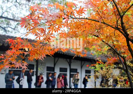 (181108) -- SUZHOU, 8 nov. 2018 (Xinhua) -- les touristes font du tourisme au jardin de l'humble administrateur à Suzhou, dans la province du Jiangsu de l'est de la Chine, le 7 novembre 2018. (Xinhua/Wang Jiankang)(yxb) CHINA-SCENERIES (CN) PUBLICATIONxNOTxINxCHN Banque D'Images