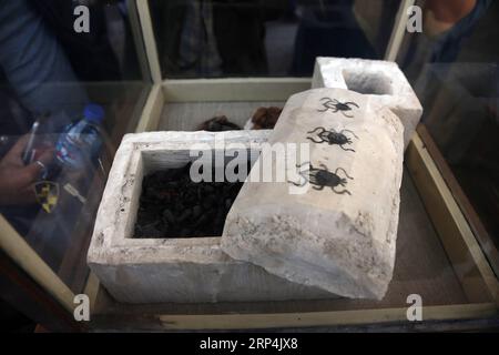 (181110) -- GIZEH (ÉGYPTE), 10 novembre 2018 -- la photo prise le 10 novembre 2018 montre les scarabées momifiées dans la nécropole de Saqqara, province de Gizeh, Égypte. Le ministre égyptien des Antiquités, Khaled al-Anany, a annoncé samedi la découverte de sept tombes pharaoniques dans la nécropole de Saqqara. EGYPTE-GIZEH-TOMBES PHARAONIQUES-DÉCOUVERTE AhmedxGomaa PUBLICATIONxNOTxINxCHN Banque D'Images