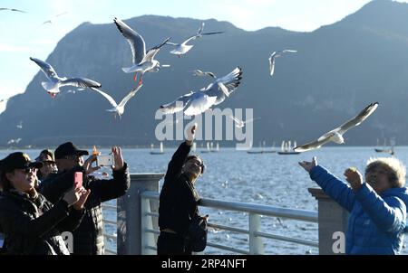(181114) -- KUNMING, 14 novembre 2018 -- les gens nourrissent des goélands à bec rouge au lac Dianchi à Kunming, capitale de la province du Yunnan du sud-ouest de la Chine, 14 novembre 2018. Les goélands à bec rouge volent à Kunming pour un temps plus chaud pour vivre pendant l'hiver.) (ly) CHINA-KUNMING-RED-BEC GOÉLANDS (CN) LinxYiguang PUBLICATIONxNOTxINxCHN Banque D'Images