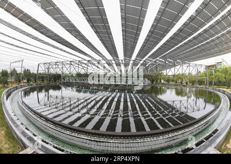 (181120) -- SHISHI, 20 novembre 2018 -- des panneaux solaires sont observés dans une usine de traitement des eaux usées de la ville de Shishi, dans la province du Fujian du sud-est de la Chine, le 20 novembre 2018. La centrale photovoltaïque construite au-dessus d’une station d’épuration des eaux usées a été connectée au réseau et a commencé à produire de l’électricité. Couvrant une superficie de plus de 4 000 mètres carrés, la centrale photovoltaïque devrait générer 3,5 millions de kilowattheures par an. ) (wsw) CHINE-FUJIAN-SHISHI-CENTRALE PHOTOVOLTAÏQUE (CN) SongxWeiwei PUBLICATIONxNOTxINxCHN Banque D'Images