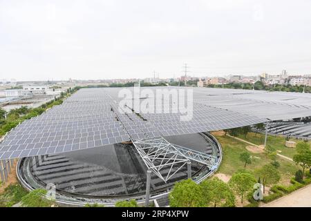 (181120) -- SHISHI, 20 novembre 2018 -- des panneaux solaires sont observés dans une usine de traitement des eaux usées de la ville de Shishi, dans la province du Fujian du sud-est de la Chine, le 20 novembre 2018. La centrale photovoltaïque construite au-dessus d’une station d’épuration des eaux usées a été connectée au réseau et a commencé à produire de l’électricité. Couvrant une superficie de plus de 4 000 mètres carrés, la centrale photovoltaïque devrait générer 3,5 millions de kilowattheures par an. ) (wsw) CHINE-FUJIAN-SHISHI-CENTRALE PHOTOVOLTAÏQUE (CN) SongxWeiwei PUBLICATIONxNOTxINxCHN Banque D'Images