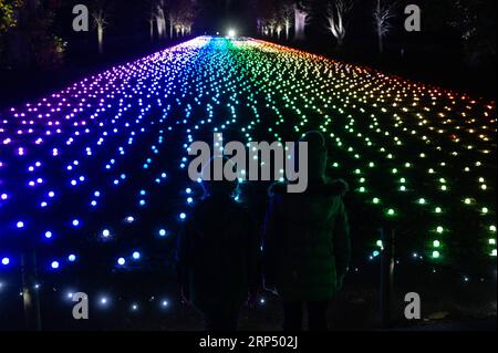 (181121) -- LONDRES, 21 novembre 2018 -- des enfants regardent les lumières de Noël au Kew Gardens à Londres, Grande-Bretagne, le 21 novembre 2018. Le Noël à Kew aura lieu ici du 22 novembre 2018 au 5 janvier 2019, au cours duquel les visiteurs verront les jardins s'illuminer pour une piste de lumières festive inoubliable après la tombée de la nuit. ) BRITAIN-LONDRES-KEW GARDENS-LUMIÈRE DE NOËL RAYXTANG PUBLICATIONXNOTXINXCHN Banque D'Images