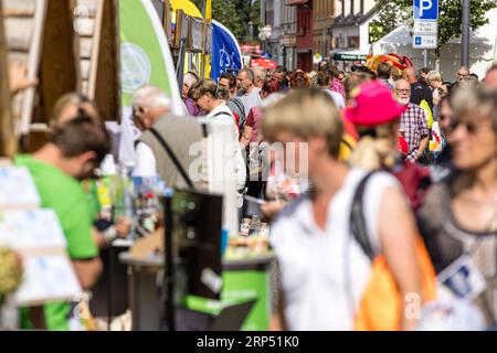 Finsterwalde, Allemagne. 03 septembre 2023. Les gens marchent le long de la route du festival à Brandenburg Day. Sous la devise «ici la musique joue», la première Journée Brandebourg après 2018 aura lieu ce week-end à Finsterwalde, une ville de 17 000 habitants. Crédit : Frank Hammerschmidt/dpa/Alamy Live News Banque D'Images