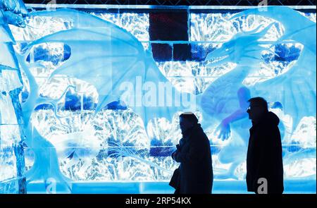 (181127) -- BRUXELLES, le 27 novembre 2018 -- les touristes apprécient les sculptures sur glace au Festival de sculptures sur glace de Bruges à Bruges, Belgique, le 27 novembre 2018. Le festival de sculpture sur glace, avec 80 sculptures sur glace réalisées par 40 sculpteurs sur glace, durera jusqu'au 6 janvier 2019. ) (Zxj) BELGIQUE-BRUGES-SCULPTURE SUR GLACE YexPingfan PUBLICATIONxNOTxINxCHN Banque D'Images