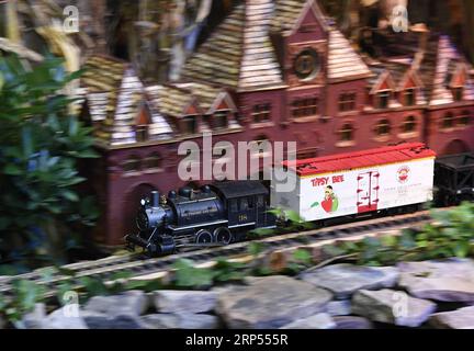 (181128) -- WASHINGTON, 28 novembre 2018 -- une photo prise le 27 novembre 2018 montre l'exposition Season s Greenings : All Aboard! Au United States Botanic Garden (USBG) à Washington D.C., aux États-Unis. Cette année, exposition annuelle des fêtes de l USBG saison s Greenings : All Aboard! En cours du 22 novembre 2018 au 1 janvier 2019. De nombreuses recréations végétales de gares ferroviaires emblématiques de tout le pays, comme le Grand Central terminal de New York et la Michigan Central Station de Detroit, sont exposées dans la salle de train. (YY) U.S.-WASHINGTON-USBG-EXPOSITION DES FÊTES-GARES EMBLÉMATIQUES LiuxJie PUBLICATIONxNOT Banque D'Images