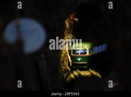 (181128) -- WASHINGTON, 28 novembre 2018 -- une photo prise le 27 novembre 2018 montre l'exposition Season s Greenings : All Aboard! Au United States Botanic Garden (USBG) à Washington D.C., aux États-Unis. Cette année, exposition annuelle des fêtes de l USBG saison s Greenings : All Aboard! En cours du 22 novembre 2018 au 1 janvier 2019. De nombreuses recréations végétales de gares ferroviaires emblématiques de tout le pays, comme le Grand Central terminal de New York et la Michigan Central Station de Detroit, sont exposées dans la salle de train. (YY) U.S.-WASHINGTON-USBG-EXPOSITION DES FÊTES-GARES EMBLÉMATIQUES LiuxJie PUBLICATIONxNOT Banque D'Images