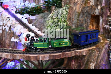 (181128) -- WASHINGTON, 28 novembre 2018 -- une photo prise le 27 novembre 2018 montre l'exposition Season s Greenings : All Aboard! Au United States Botanic Garden (USBG) à Washington D.C., aux États-Unis. Cette année, exposition annuelle des fêtes de l USBG saison s Greenings : All Aboard! En cours du 22 novembre 2018 au 1 janvier 2019. De nombreuses recréations végétales de gares ferroviaires emblématiques de tout le pays, comme le Grand Central terminal de New York et la Michigan Central Station de Detroit, sont exposées dans la salle de train. (YY) U.S.-WASHINGTON-USBG-EXPOSITION DES FÊTES-GARES EMBLÉMATIQUES LiuxJie PUBLICATIONxNOT Banque D'Images