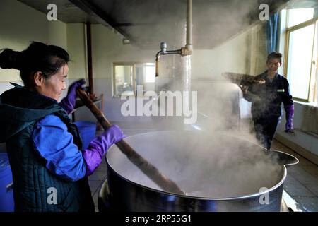 (181128) -- LHASSA, 28 novembre 2018 -- des travailleurs fabriquent le médicament du bain médicinal Lum de Sowa Rigpa dans un hôpital de médecine tibétain à Shannan, dans la région autonome du Tibet du sud-ouest de la Chine, 23 novembre 2018. L Organisation des Nations Unies pour l éducation, la science et la culture (UNESCO) a inscrit mercredi le lum médicinal de Sowa Rigpa sur la liste représentative du patrimoine culturel immatériel de l humanité, lors d une convention tenue à Port Louis, capitale de la République de Maurice. Le bain médicinal Lum de Sowa Rigpa est une connaissance et des pratiques concernant la vie, la santé et les illnes Banque D'Images