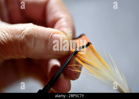 (181208) -- ZUNYI, 8 déc. 2018 (Xinhua) -- Zuo Huiping, héritier représentatif de la technique de fabrication d'œuvres d'art d'usine de papier de riz, traite une œuvre d'art à Zunyi, dans la province du Guizhou du sud-ouest de la Chine, 10 novembre 2018. La plante de papier de riz (tetrapanax papyrifer) est un arbuste à feuilles persistantes utilisé dans la médecine traditionnelle chinoise. La technique de fabrication d'œuvres d'art d'usine de riz-papier a été répertoriée comme l'un des deuxième lots de patrimoines culturels immatériels provinciaux au Guizhou. (Xinhua/Luo Xinghan) (gxn) CHINE-GUIZHOU-ZUNYI-TCM-ARTISANAT (CN) PUBLICATIONxNOTxINxCHN Banque D'Images