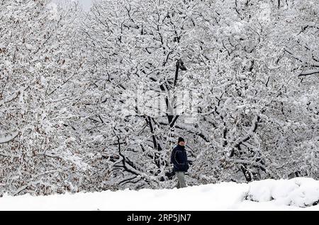 (181216) -- BELGRADE, 16 décembre 2018 -- Un homme marche sur une route enneigée à Belgrade, Serbie, le 16 décembre 2018.) SERBIE-BELGRADE-MÉTÉO-NEIGE PredragxMilosavljevic PUBLICATIONxNOTxINxCHN Banque D'Images