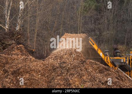 Göteborg, Suède - novembre 10 2022 : copeaux de bois déversés dans une pile par un grand broyeur de bois industriel Banque D'Images