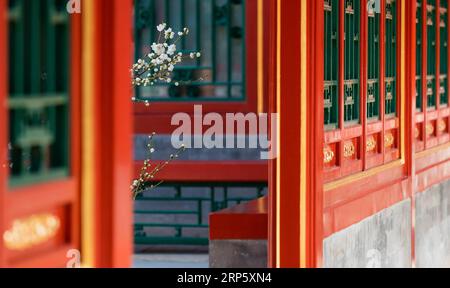 (181226) -- PÉKIN, 26 décembre 2018 (Xinhua) -- cette photo de fichier non datée montre des fleurs en fleurs au musée du palais de Pékin, capitale de la Chine. (Xinhua/Musée du Palais) (InPalaceMuseum)CHINA-BEIJING-PALACE MUSEUM-FLOWERS (CN) PUBLICATIONxNOTxINxCHN Banque D'Images