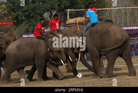 (181229) -- PÉKIN, 29 décembre 2018 -- les éléphants jouent au football lors du 15e Festival des éléphants à Sauraha, un centre touristique du district de Chitwan au sud-ouest du Népal, le 28 décembre 2018. Cet événement annuel de cinq jours visait à encourager la protection et la conservation de la faune et à promouvoir le tourisme dans la région. PHOTOS XINHUA DU JOUR PHOTOS XINHUA DU JOUR SUNILXSHARMA PUBLICATIONXNOTXINXCHN Banque D'Images