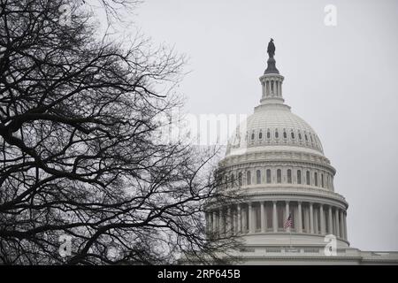 (190101) -- WASHINGTON, 1 janvier 2019 (Xinhua) -- la photo prise le 31 décembre 2018 montre la colline du Capitole à Washington D.C., aux États-Unis. Les démocrates de la Chambre auraient préparé un plan pour mettre fin à la fermeture partielle en cours du gouvernement fédéral américain, sans financement pour le mur frontalier du président Donald Trump. La chambre basse prévoit d'adopter un projet de loi sur les dépenses compensatrices jeudi lorsque le nouveau Congrès se réunit pour financer le Département de la sécurité intérieure aux niveaux actuels jusqu'au 8 février, avec 1,3 milliards de dollars américains pour la clôture des frontières et d'autres mesures de sécurité, ont rapporté plusieurs médias Banque D'Images