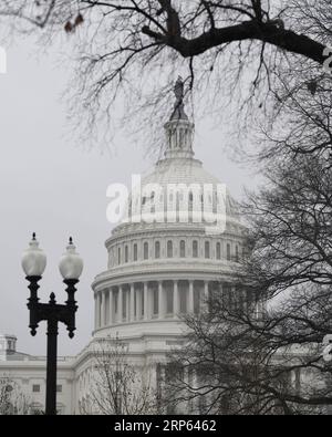 (190101) -- WASHINGTON, 1 janvier 2019 (Xinhua) -- la photo prise le 31 décembre 2018 montre la colline du Capitole à Washington D.C., aux États-Unis. Les démocrates de la Chambre auraient préparé un plan pour mettre fin à la fermeture partielle en cours du gouvernement fédéral américain, sans financement pour le mur frontalier du président Donald Trump. La chambre basse prévoit d'adopter un projet de loi sur les dépenses compensatrices jeudi lorsque le nouveau Congrès se réunit pour financer le Département de la sécurité intérieure aux niveaux actuels jusqu'au 8 février, avec 1,3 milliards de dollars américains pour la clôture des frontières et d'autres mesures de sécurité, ont rapporté plusieurs médias Banque D'Images