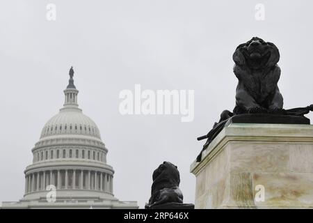 (190101) -- WASHINGTON, 1 janvier 2019 (Xinhua) -- la photo prise le 31 décembre 2018 montre la colline du Capitole à Washington D.C., aux États-Unis. Les démocrates de la Chambre auraient préparé un plan pour mettre fin à la fermeture partielle en cours du gouvernement fédéral américain, sans financement pour le mur frontalier du président Donald Trump. La chambre basse prévoit d'adopter un projet de loi sur les dépenses compensatrices jeudi lorsque le nouveau Congrès se réunit pour financer le Département de la sécurité intérieure aux niveaux actuels jusqu'au 8 février, avec 1,3 milliards de dollars américains pour la clôture des frontières et d'autres mesures de sécurité, ont rapporté plusieurs médias Banque D'Images