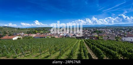 Vue sur la ville viticole Ihringen, Kaiserstuhl (Vogtsburg). Plaine du Rhin, Baden Wuerttemberg, Allemagne, Europe Banque D'Images