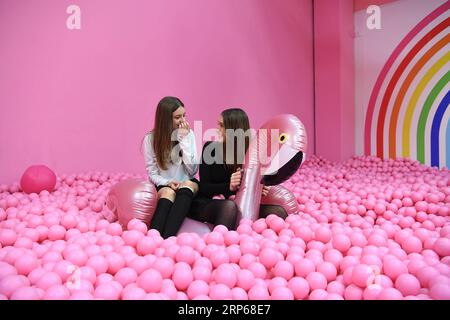 (190105) -- COLOGNE, 5 janvier 2019 -- deux filles s'amusent au Supercandy Pop-Up Museum de Cologne, Allemagne, le 4 janvier 2019. Avec une superficie totale de 1 200 mètres carrés et plus de 20 installations interactives pour les photographies, le musée a attiré de nombreux visiteurs, en particulier des jeunes, depuis son ouverture en septembre 2018, selon le PDG du musée Frank Karch. ALLEMAGNE-COLOGNE-MUSEUM-SELFIE LuxYang PUBLICATIONxNOTxINxCHN Banque D'Images