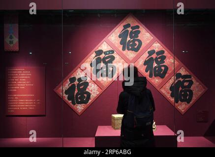 (190107) -- PÉKIN, 7 janvier 2019 -- Un touriste regarde les expositions exposées au Musée du Palais, également connu sous le nom de Cité interdite à Pékin, capitale de la Chine, le 7 janvier 2019. En célébrant la plus magnifique de toutes les fêtes traditionnelles, le Musée du Palais présente une exposition de célébration de la Fête du Printemps dans la Cité interdite à partir du 7 janvier 2019. Des centaines d'expositions seront exposées au musée. ) (InPalaceMuseum) CHINA-BEIJING-PALACE MUSEUM-SPRING FESTIVAL CELEBRATION (CN) JinxLiangkuai PUBLICATIONxNOTxINxCHN Banque D'Images