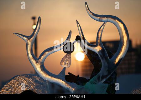 (190108) -- BEIJING, 8 janvier 2019 -- Un participant travaille sur une sculpture sur glace lors d'un concours international de sculpture sur glace à Harbin, dans la province du Heilongjiang du nord-est de la Chine, le 7 janvier 2019.) PHOTOS XINHUA DU JOUR WangxJianwei PUBLICATIONxNOTxINxCHN Banque D'Images