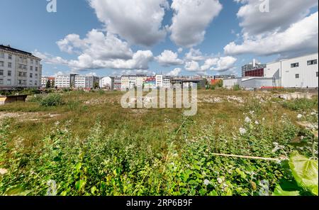 Hambourg, Allemagne. 03 septembre 2023. Scrub pousse sur la friche à Spielbudenplatz. Après la démolition des bâtiments Esso, 200 nouveaux appartements devaient être construits ici depuis 2014 sur une superficie d'environ 6 000 mètres carrés, dont plus de 60 pour cent sont des appartements locatifs subventionnés par l'État et des coconstructions, des commerces, des commerces de détail et des clubs de quartier. Crédit : Markus Scholz/dpa/Picture alliance/dpa | Markus Scholz/dpa/Alamy Live News Banque D'Images