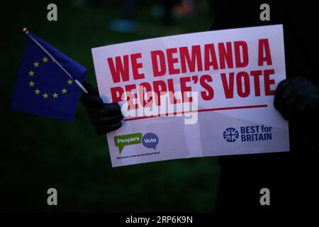 (190115) -- LONDRES, le 15 janvier 2019 -- Un manifestant tient une pancarte appelant à un vote populaire devant les chambres du Parlement à Londres, en Grande-Bretagne, le 15 janvier. 2019. Un vote parlementaire différé sur l ' accord sur le Brexit est prévu mardi. ) ROYAUME-UNI-LONDRES-BREXIT-PROTEST TimxIreland PUBLICATIONxNOTxINxCHN Banque D'Images