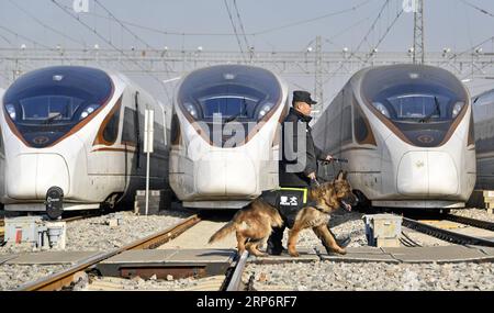 (190119) -- PÉKIN, 19 janv. 2019 (Xinhua) -- Un policier des chemins de fer patrouille avec un chien policier dans une station d'entretien pour assurer la sécurité de la prochaine ruée vers les voyages du Festival du printemps à Beijing, capitale de la Chine, le 19 janvier 2019. (Xinhua/Li Xin) CHINE-BEIJING-SPRING FESTIVAL-TRAVEL (CN) PUBLICATIONxNOTxINxCHN Banque D'Images