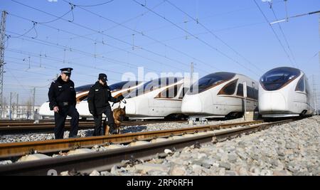 (190119) -- PÉKIN, 19 janv. 2019 (Xinhua) -- patrouille de police ferroviaire avec un chien policier dans une station d'entretien pour assurer la sécurité de la prochaine ruée vers les voyages du Festival du printemps à Beijing, capitale de la Chine, le 19 janvier 2019. (Xinhua/Li Xin) CHINE-BEIJING-SPRING FESTIVAL-TRAVEL (CN) PUBLICATIONxNOTxINxCHN Banque D'Images