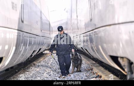 (190119) -- PÉKIN, 19 janv. 2019 (Xinhua) -- Un policier des chemins de fer avec un chien policier travaille dans une station d'entretien pour assurer la sécurité de la prochaine ruée vers les voyages du Festival du printemps à Beijing, capitale de la Chine, le 19 janvier 2019. (Xinhua/Li Xin) CHINE-BEIJING-SPRING FESTIVAL-TRAVEL (CN) PUBLICATIONxNOTxINxCHN Banque D'Images