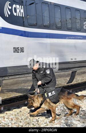 (190119) -- PÉKIN, 19 janv. 2019 (Xinhua) -- Un policier des chemins de fer inspecte un train avec un chien policier dans une station d'entretien pour assurer la sécurité de la prochaine ruée vers les voyages du Festival du printemps à Beijing, capitale de la Chine, le 19 janvier 2019. (Xinhua/Li Xin) CHINE-BEIJING-SPRING FESTIVAL-TRAVEL (CN) PUBLICATIONxNOTxINxCHN Banque D'Images