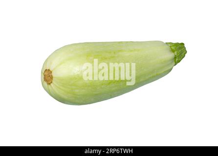 Zucchini isolé. Courgettes ou courgettes , ou moelle végétale isolée sur fond blanc. Banque D'Images