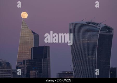 (190120) -- LONDRES, 20 janvier 2019 -- Une superlune est vue se lever au-dessus de Londres, Grande-Bretagne, le 20 janvier 2019. C est la première superlune de l année, quand une pleine lune apparaît un peu plus grande et plus brillante grâce à une position légèrement plus proche de la Terre. ) BRITAIN-LONDON-SUPERMOON StephenxChung PUBLICATIONxNOTxINxCHN Banque D'Images