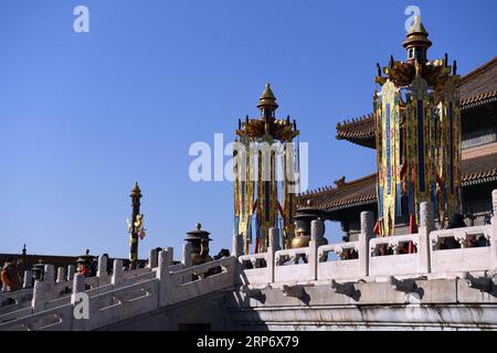 (190121) -- PÉKIN, 21 janvier 2019 -- des lanternes célestes et des lanternes de longévité sont installées avant le Qianqing Gong, ou Palais de la pureté céleste, au Musée du Palais, également connu sous le nom de Cité interdite, à Pékin, capitale de la Chine, le 21 janvier 2019. Les lanternes traditionnelles récupérées par le Musée du Palais conformément aux archives historiques de la dynastie Qing (1644-1911) sont ouvertes au public lundi, dans le cadre de l'exposition de célébration de la Fête du Printemps dans la Cité interdite. (INPALACEMUSEUM)CHINE-PÉKIN-LA CITÉ INTERDITE-FÊTE DU PRINTEMPS-LANTERNES (CN) JINX Banque D'Images