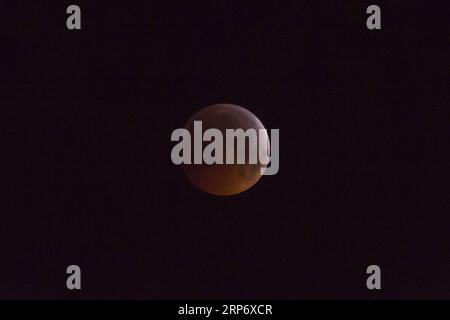 (190121) -- LONDRES, le 21 janvier 2019 -- la lune est vue pendant une éclipse lunaire totale, connue sous le nom de Lune du loup de Super sang , dans le ciel au-dessus du nord-ouest de Londres, Grande-Bretagne, le 21 janvier 2019.) BRITAIN-LONDRES-SUPER MOON-TOTAL ECLIPSE STEPHENXCHUNG PUBLICATIONXNOTXINXCHN Banque D'Images