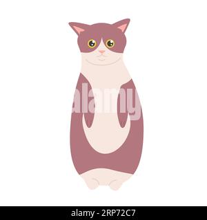 Mignon chat debout sur deux pattes. Adorable chaton moelleux, illustration vectorielle de dessin animé pour animaux de compagnie de famille Illustration de Vecteur