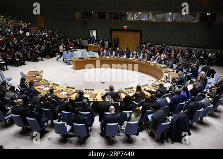 (190126) -- NATIONS UNIES, 26 janvier 2019 -- la photo prise le 26 janvier 2019 montre la réunion d'urgence du Conseil de sécurité des Nations Unies sur la situation au Venezuela, au siège de l'ONU à New York.) ONU-CONSEIL DE SÉCURITÉ-VENEZUELA-REUNION D'URGENCE LIXMUZI PUBLICATIONXNOTXINXCHN Banque D'Images