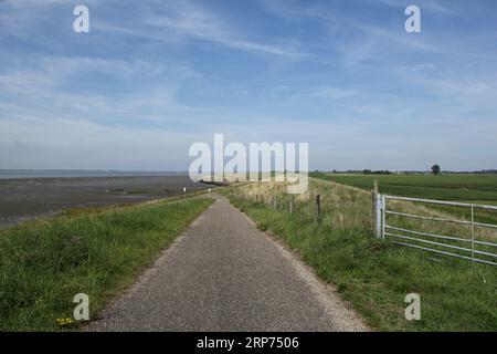 vue aérienne de la route sur le dessus de la grande digue à la côte néerlandaise en zélande le long de la mer westerschelde avec une plage de marée avec de la boue en été Banque D'Images