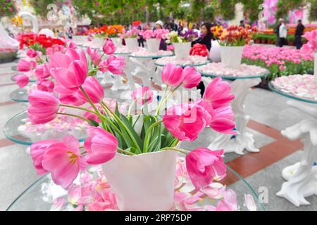 (190128) -- GUANGZHOU, 28 janv. 2019 (Xinhua) -- des touristes voient des tulipes dans un jardin de la zone franche de Nansha dans la province du Guangdong du sud de la Chine, 28 janvier 2019. Plus de 30 variétés de tulipes introduites dans le jardin de Keukenhof aux pays-Bas ont été montrées ici récemment. (Xinhua/Liu Dawei) CHINA-GUANGDONG-EXHIBITION-TULIPES (CN) PUBLICATIONxNOTxINxCHN Banque D'Images