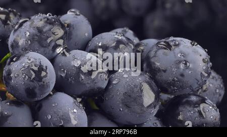 Bouquet de raisins mûrs juteux avec des gouttes d'eau, Clode up Banque D'Images