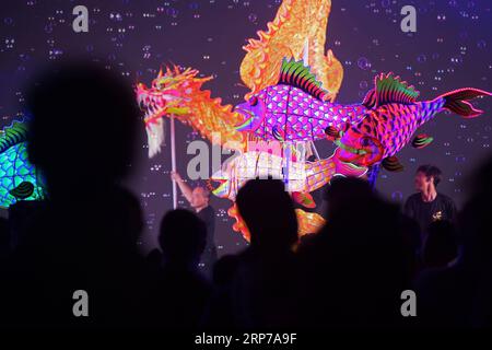 (190202) -- SINGAPOUR, 2 février 2019 -- des artistes répètent le spectacle Carps Leaping Over the Dragon Gate dans le Supertree Grove aux jardins de Singapour près de la baie le 1 février 2019. Gardens by the Bay présentera la performance Carps Leaping Over the Dragon s Gate pendant la période du nouvel an chinois les 9 et 10 février dans le cadre des célébrations du nouvel an chinois. SINGAPOUR-CHINE-CÉLÉBRATION-RÉPÉTITION DU NOUVEL AN THENXCHIHXWEY PUBLICATIONXNOTXINXCHN Banque D'Images