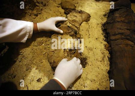 (190202) -- MINYA, 2 février 2019 -- un archéologue fouille une momie à l'intérieur des tombes récemment excavées dans la nécropole de Tuna el-Gebel de la province de Minya au sud de la capitale le Caire, Égypte, 2 février 2019. Le ministre égyptien des Antiquités a annoncé samedi la découverte de trois tombes anciennes avec plus de 40 momies bien conservées dans la nécropole de Tuna el-Gebel de la province de Minya au sud de la capitale le Caire. ÉGYPTE-MINYA-ANCIENNES TOMBES-EXCAVATION AhmedxGomaa PUBLICATIONxNOTxINxCHN Banque D'Images