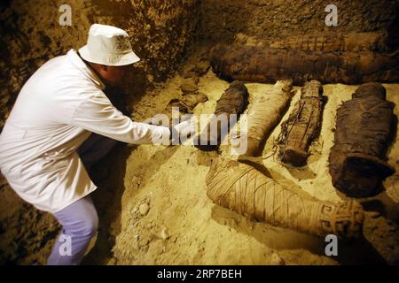 (190202) -- MINYA, 2 février 2019 -- un archéologue fouille des momies à l'intérieur des tombes récemment excavées dans la nécropole de Tuna el-Gebel de la province de Minya au sud de la capitale le Caire, Égypte, 2 février 2019. Le ministre égyptien des Antiquités a annoncé samedi la découverte de trois tombes anciennes avec plus de 40 momies bien conservées dans la nécropole de Tuna el-Gebel de la province de Minya au sud de la capitale le Caire. ÉGYPTE-MINYA-ANCIENNES TOMBES-EXCAVATION AhmedxGomaa PUBLICATIONxNOTxINxCHN Banque D'Images