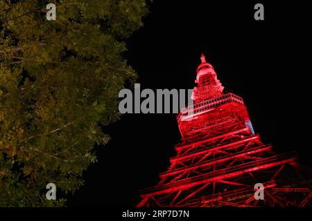 (190204) -- TOKYO, 4 février 2019 (Xinhua) -- une photo prise le 4 février 2019 montre que la tour de Tokyo s'est illuminée en rouge pour célébrer le nouvel an chinois à Tokyo, au Japon. (Xinhua/du Xiaoyi) JAPON-TOUR DE TOKYO-CÉLÉBRATION DU NOUVEL AN CHINOIS PUBLICATIONxNOTxINxCHN Banque D'Images
