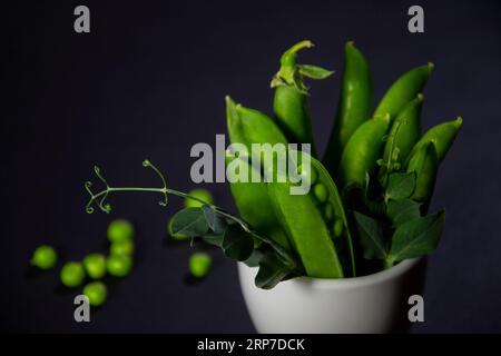 Bouquet vertical de pois verts dans une tasse sur un fond noir Banque D'Images