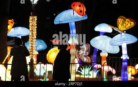 (190204) -- BELGRADE, le 4 février 2019 -- les gens visitent le Festival de la lumière chinoise dans le parc Kalemegdan au centre-ville de Belgrade, Serbie, le 4 février 2019. Le Festival de la lumière chinoise a lieu ici du 4 au 24 février pour célébrer le nouvel an lunaire chinois. ) SERBIE-BELGRADE-CHINESE LIGHT FESTIVAL PredragxMilosavljevic PUBLICATIONxNOTxINxCHN Banque D'Images