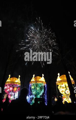 (190204) -- BELGRADE, 4 février 2019 -- des feux d'artifice sont exposés pendant que des gens visitent le Festival de la lumière chinoise dans le parc Kalemegdan, dans le centre-ville de Belgrade, en Serbie, le 4 février 2019. Le Festival de la lumière chinoise a lieu ici du 4 au 24 février pour célébrer le nouvel an lunaire chinois. ) SERBIE-BELGRADE-CHINESE LIGHT FESTIVAL PredragxMilosavljevic PUBLICATIONxNOTxINxCHN Banque D'Images