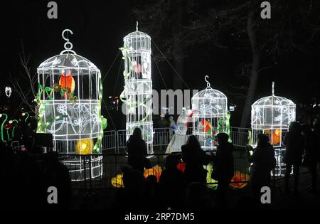 (190204) -- BELGRADE, le 4 février 2019 -- les gens visitent le Festival de la lumière chinoise dans le parc Kalemegdan au centre-ville de Belgrade, Serbie, le 4 février 2019. Le Festival de la lumière chinoise a lieu ici du 4 au 24 février pour célébrer le nouvel an lunaire chinois. ) SERBIE-BELGRADE-CHINESE LIGHT FESTIVAL PredragxMilosavljevic PUBLICATIONxNOTxINxCHN Banque D'Images