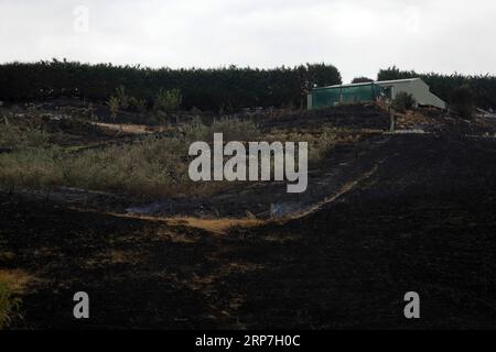 (190207) -- WELLINGTON, 7 février 2019 (Xinhua) -- une photo prise le 6 février 2019 montre une maison qui a échappé à un feu de brousse dans des champs noircis à Nelson, sur l'île du Sud, en Nouvelle-Zélande. Un incendie de brousse a éclaté mardi dans la région de Tasman de l île du Sud et a provoqué l évacuation de 235 propriétés. Environ 400 personnes ont été évacuées de leurs maisons alors que le feu atteignait 1 874 hectares en 13 heures, selon les autorités locales. L'incendie, le pire à avoir frappé la région depuis les années 1980, prendra probablement plusieurs jours ou plus avant d'être arrêté, a déclaré Richard Kempthorne, maire du district de Tasman, aux médias. (Xinhua Banque D'Images